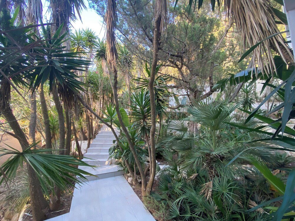 Sieben Luxusvillen auf Ibiza für 2027 Can Blanc photo 3