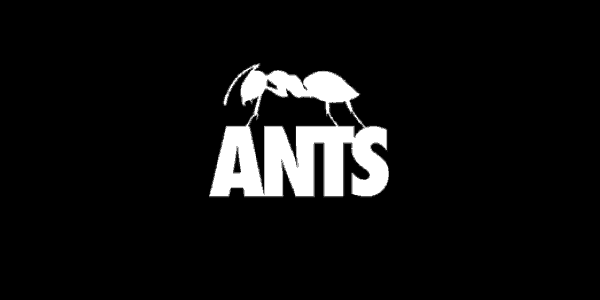 ANTS 2